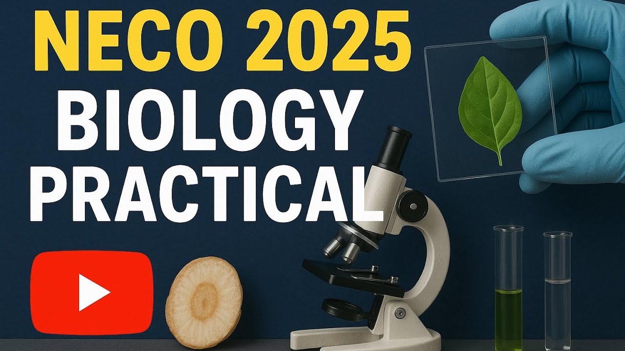 NECO 2025 BIOLOGY PRACTICAL. AS E DEY HOT
