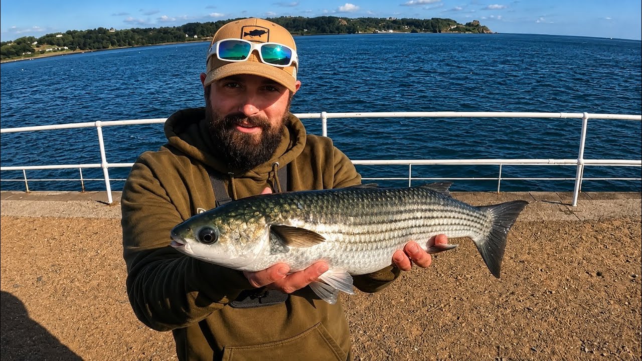 Using A Float For Thick Lipped Mullet - Mullet Fishing - Pier Fishing - Shore Fishing Uk