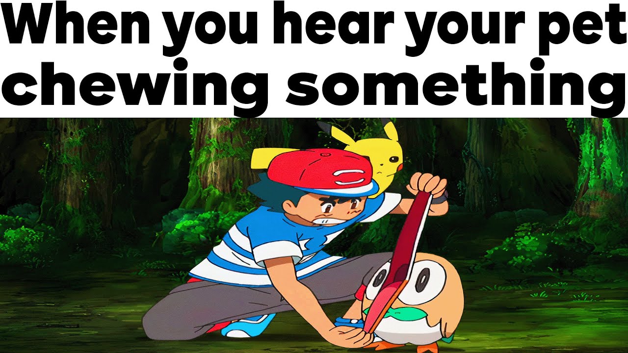 POKEMON MEMES V151 For The 100% True Pokemon Fans