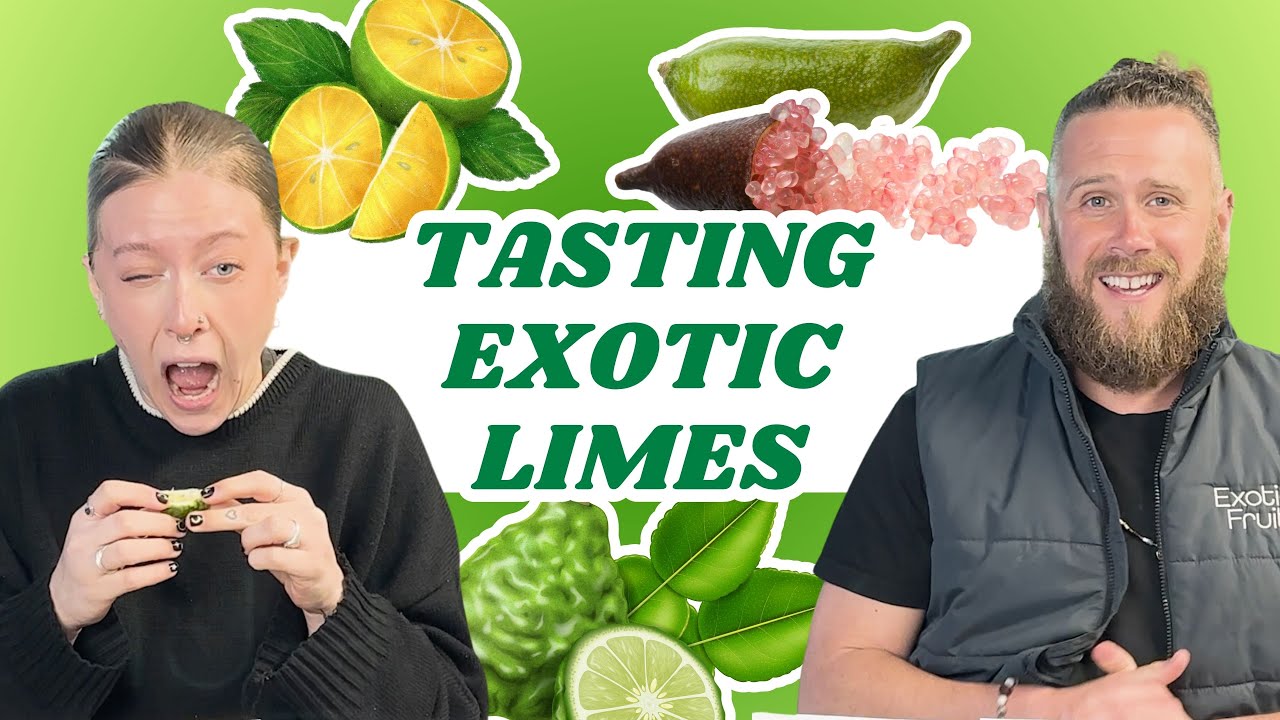 Tasting EXOTIC Limes! | Kaffir, Calamansi & Caviar/Finger Limes