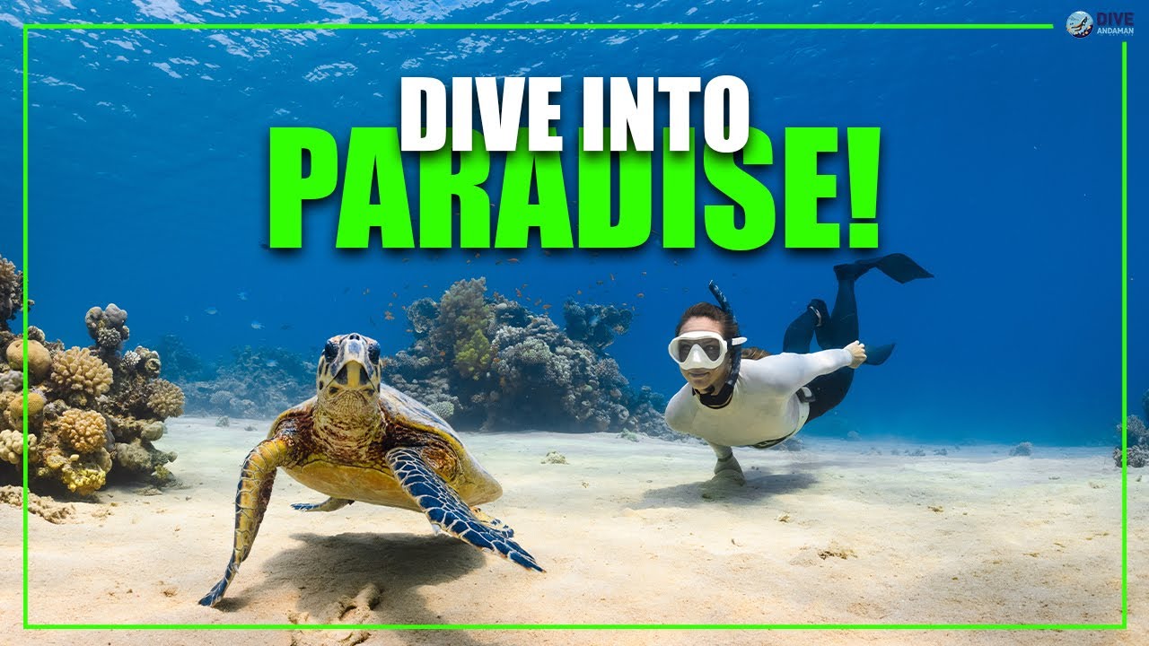 Dive into Paradise! Live Scuba Diving in Andaman Islands | With @Diveandaman