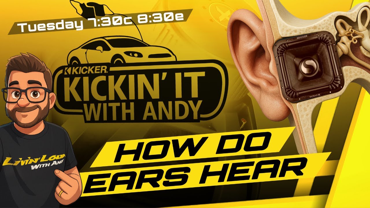 360° Sound: How Your Ears Hear | Kickin’ it with Andy