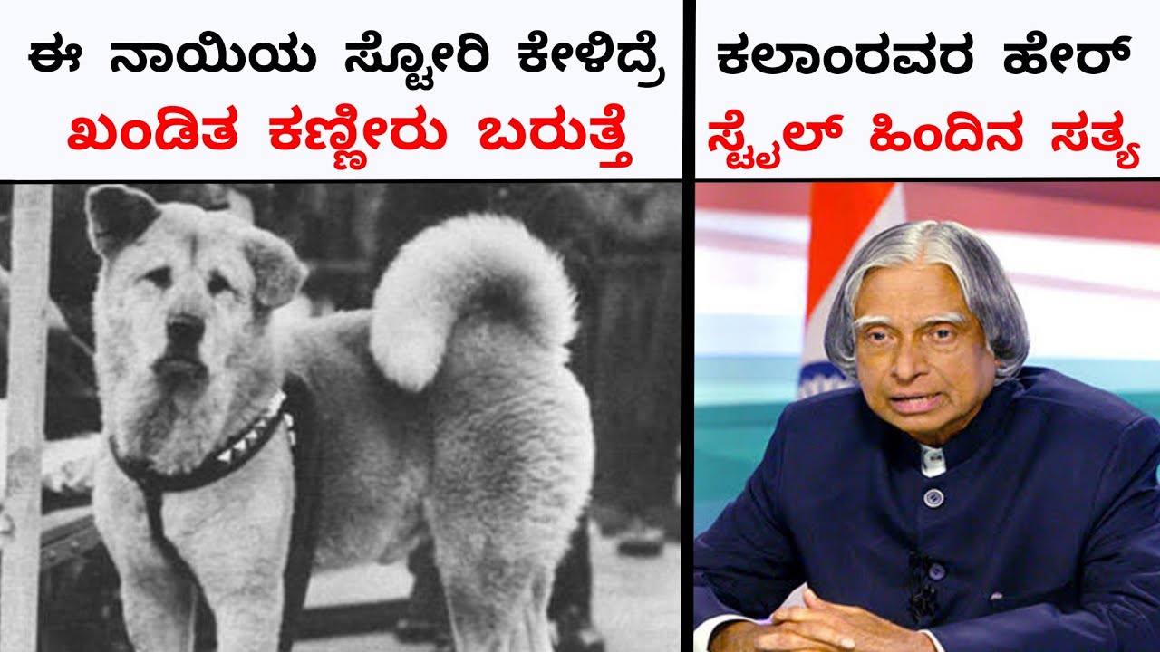 TOP TEN INTERESTING AND UNKNOWN FACTS IN KANNADA|NIMAGIDHU GOTTA:64|RJ FACTS IN KANNADA