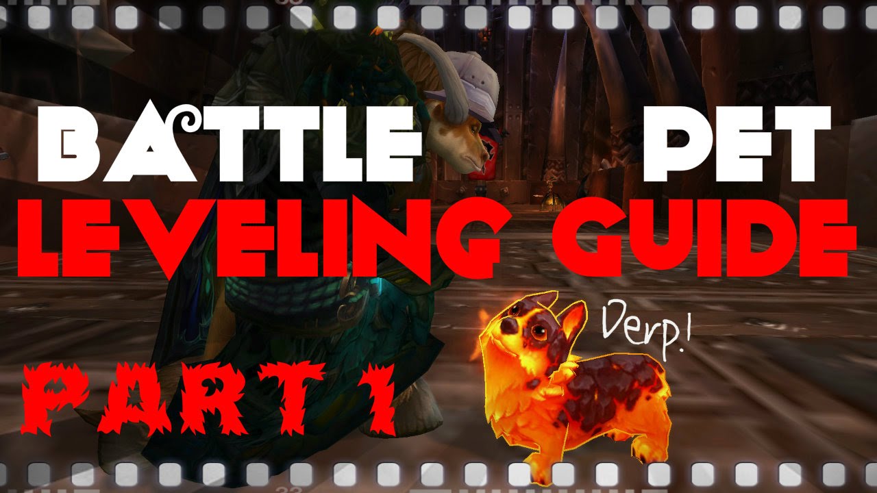 Battle Pet Leveling Guide for Level 90+ [Part 1] - Setting Up