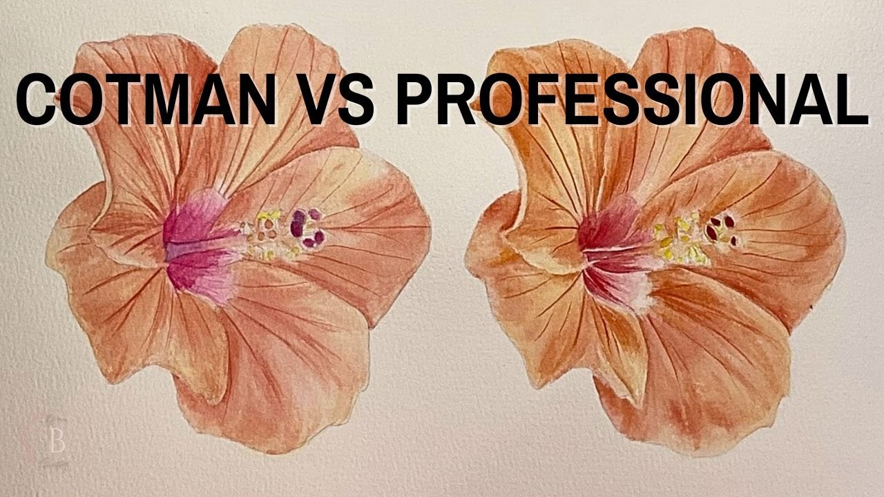Winsor & Newton COTMAN VS PRO Watercolors Side-by-Side Comparison