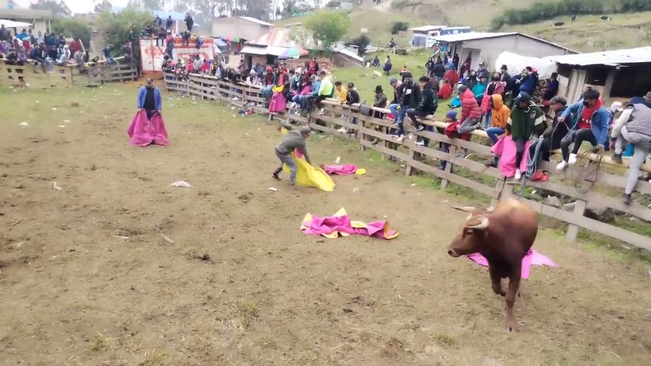 Toros Toreros (Tres Reyes) Mapaguiña 2023