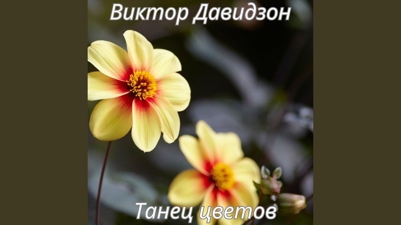 Чай