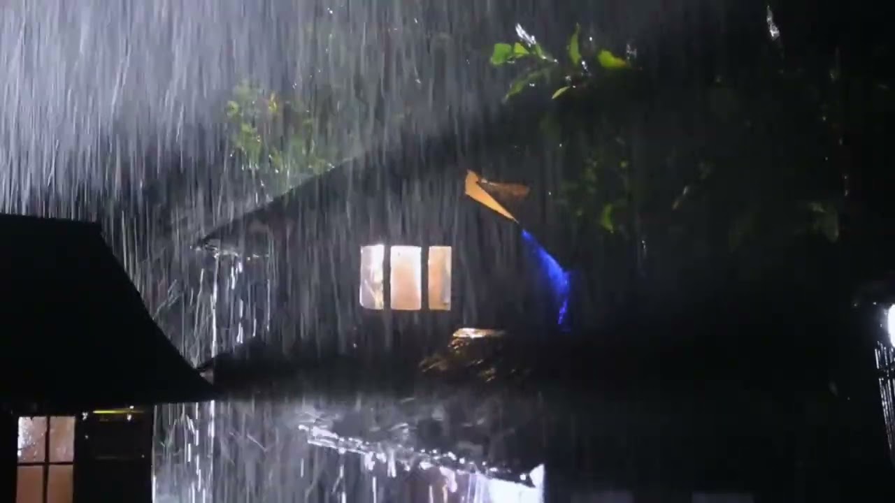 Gentle Rain Tapping for Insomnia Relief