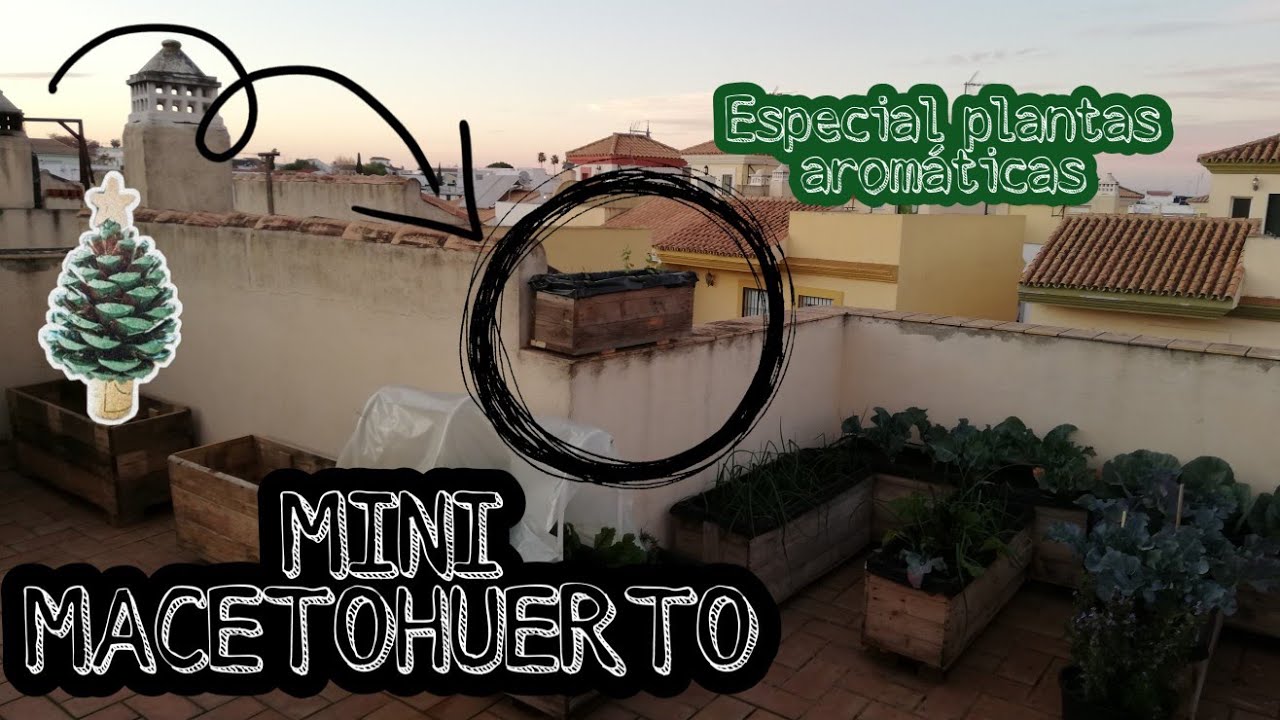 Huerto urbano, MACETOHUERTO MINI ideal para plantas