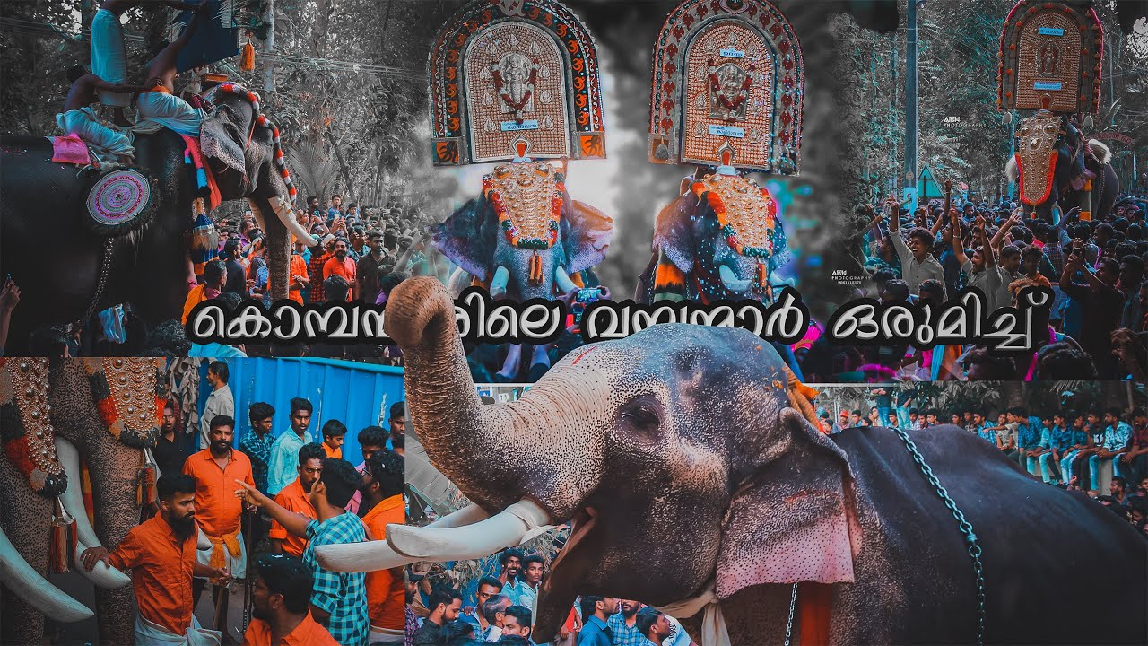 കൊമ്പന്മാരിലെ വമ്പന്മാർ ഒരുമിച്ച് I അയ്യൻകോയിക്കൽ പൂരം 2019