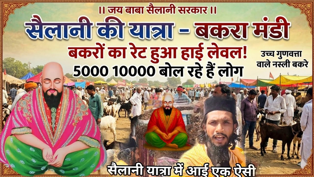 Baba Sailani  सैलानी बाबा यात्रा 2026 बकरी मंडी  