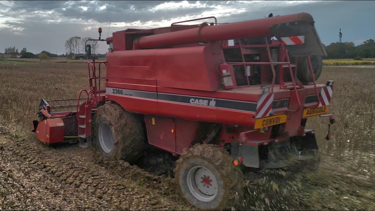 Condition difficile pour la moisson de soja ! Case Axial-Flow 2366 😍