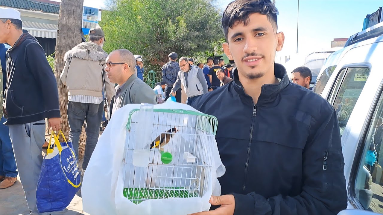 سوق القريعة للطيور والحيوانات بالدار البيضاء 🇲🇦اليوم السبت 2025/11/8 الحسون المهاجر سنجاب 🐿