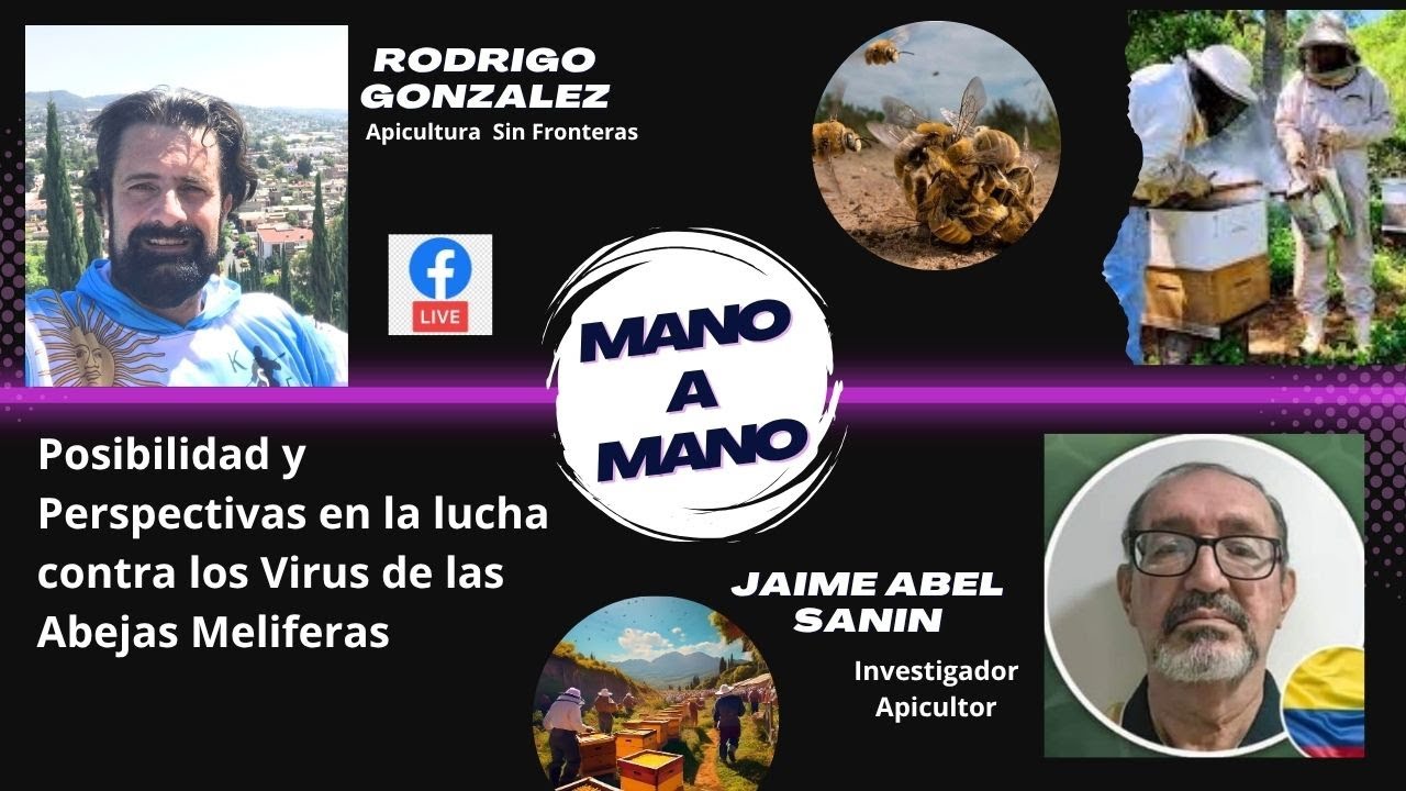 Posibilidad y Perspectivas en la lucha contra los Virus de las Abejas Melíferas