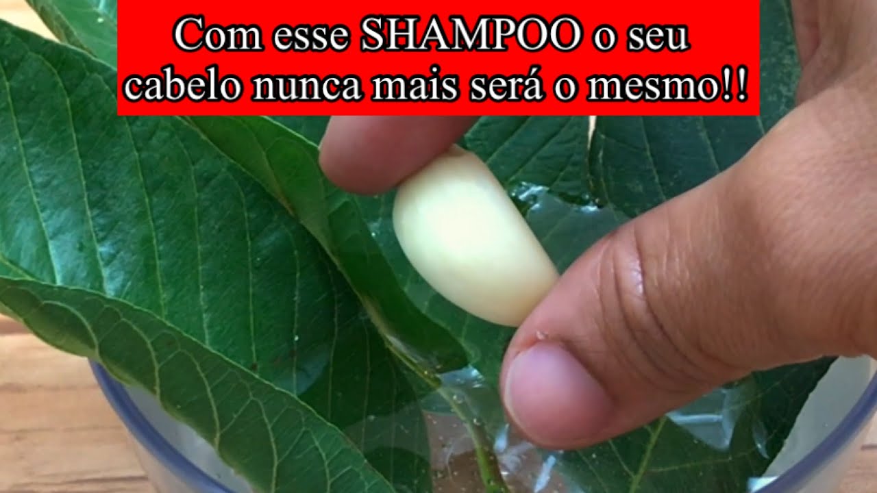 Cabelo CRESCE Muito,Sem Cair com esse SHAMPOO ORGÂNICO!👆🏻