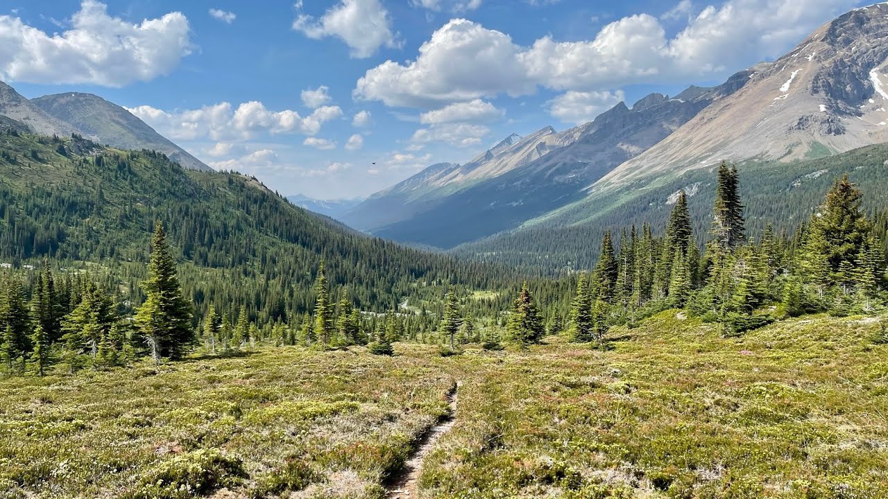 The Old Way to Maligne Lake