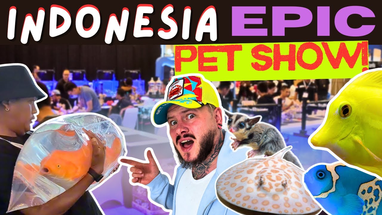 Inside Indonesia’s Epic Pet Show | Nusatic Nusapet 2025 | 𝐅𝐫𝐨𝐦 𝐓𝐡𝐞 𝐎𝐜𝐞𝐚𝐧 𝐭𝐨 𝐎𝐮𝐫 𝐀𝐪𝐮𝐚𝐫𝐢𝐮𝐦 - 𝐄𝐩𝐢𝐬𝐨𝐝𝐞 𝟐