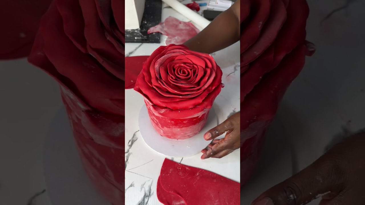 Red rose cake