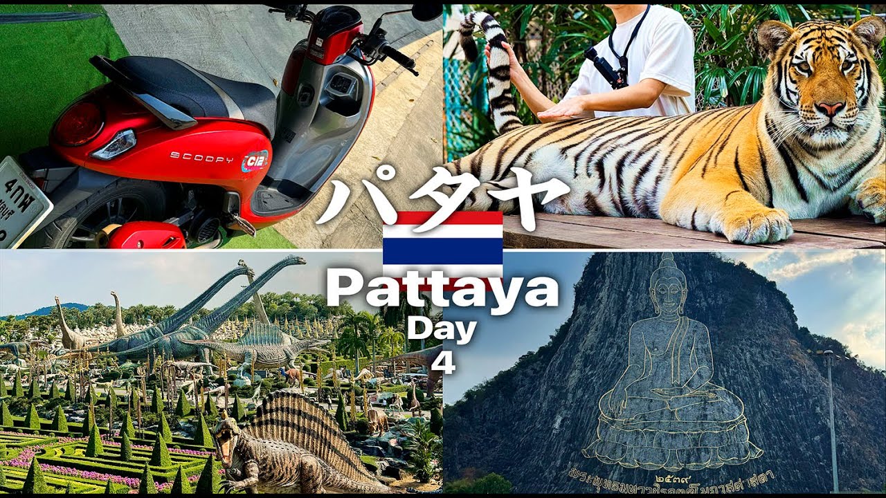 【Pocket3】 🇹🇭パタヤの元日 | 原付を借りてタイガーパークで虎に触れる×恐竜を見にノンヌットトロピカルガーデン×山に描かれた大仏【Day4】