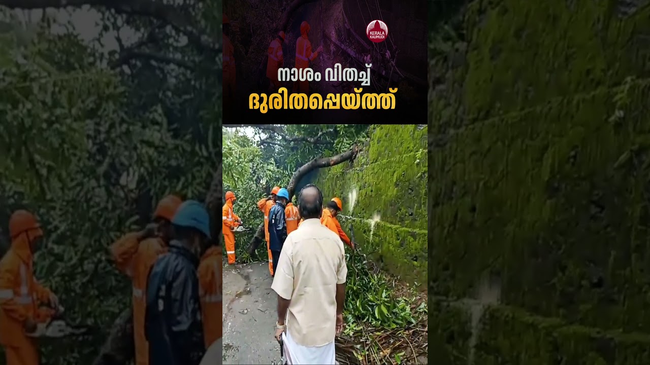 പാലക്കാട് ജില്ലയെ ഇളക്കി മറിച്ച് കാറ്റും മഴയും #rain #palakkad #weatherupdate #naturaldisaster