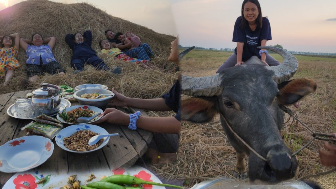 အမိုးတို့နဲ့အတူ အဒေါ်တဲမှာ လက်ဖက်သုပ်စားရင်း နားမူက ကျွဲစီးမယ် သူတို့ကိုလည်း ဂိမ်းပေးဆော့မယ်🥰😋