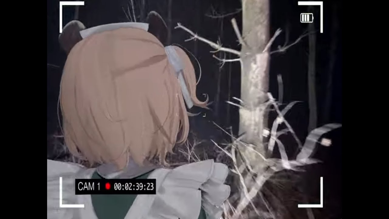 10012025_forest.mp4