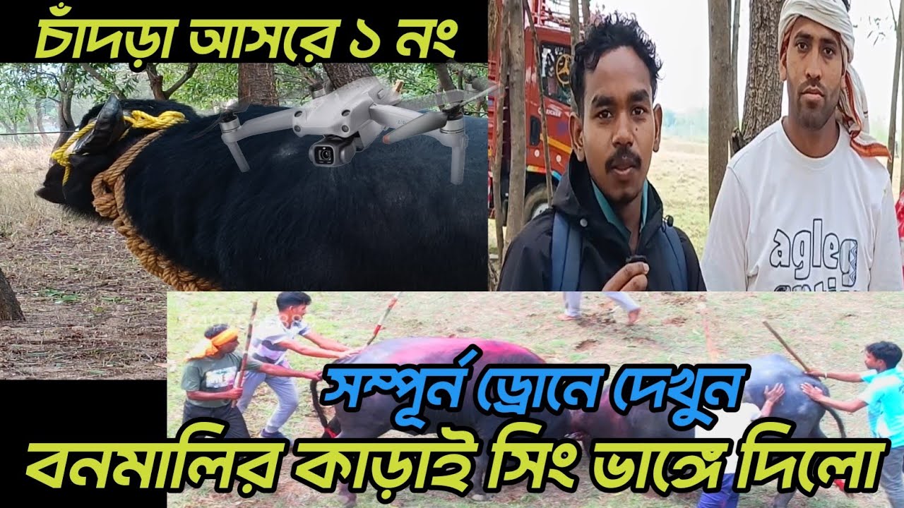 ৩রা চৈত্র চাঁদড়া আসরে ১নং কাড়া বনমালী মাঝী জয়ী হওয়ার পর মুখ খুললেন 