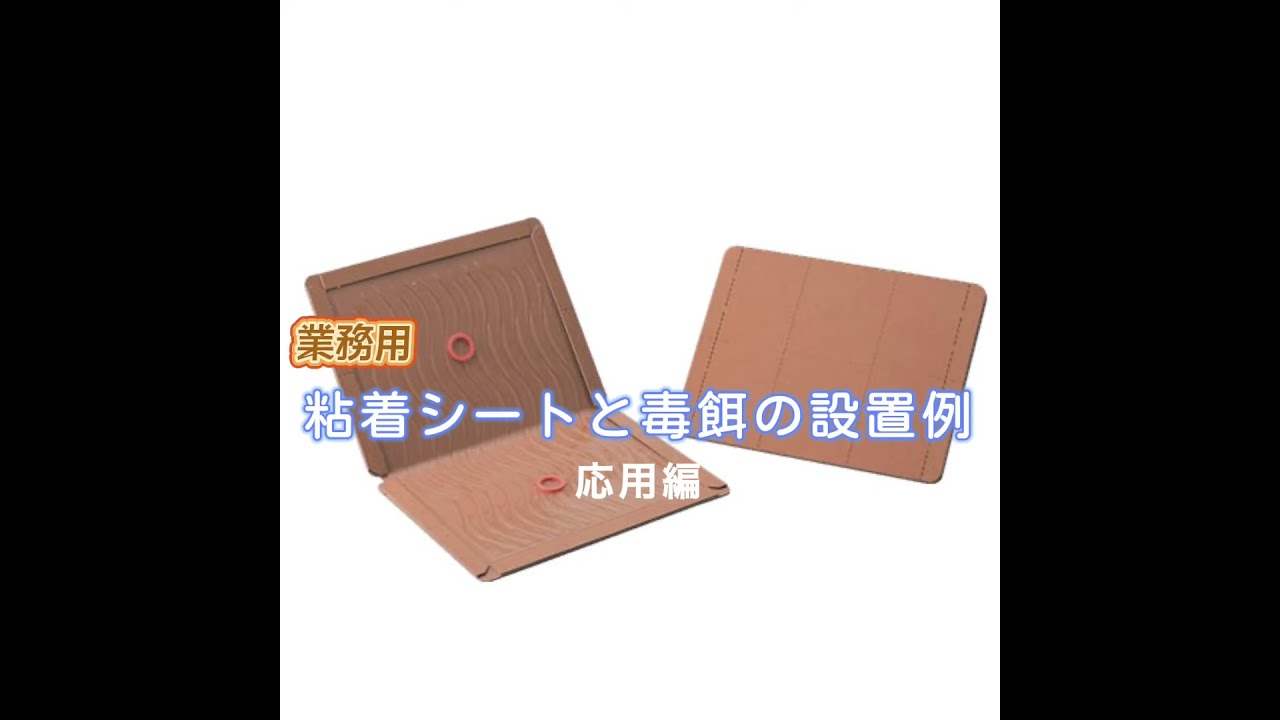 粘着シートと毒餌の設置例　～応用編～