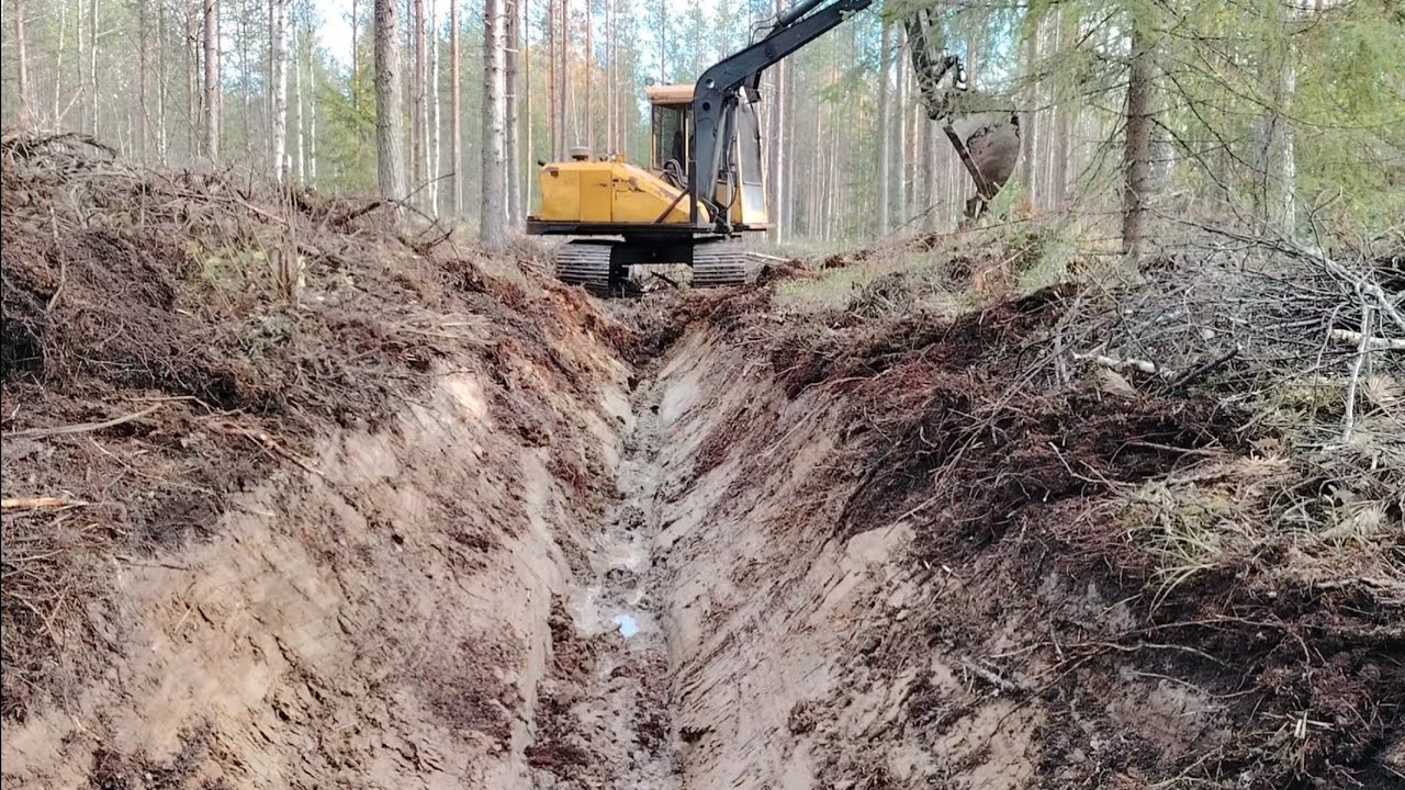 mettäojien kaivuu aloitus !