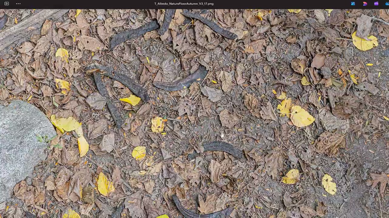 Autumn V3