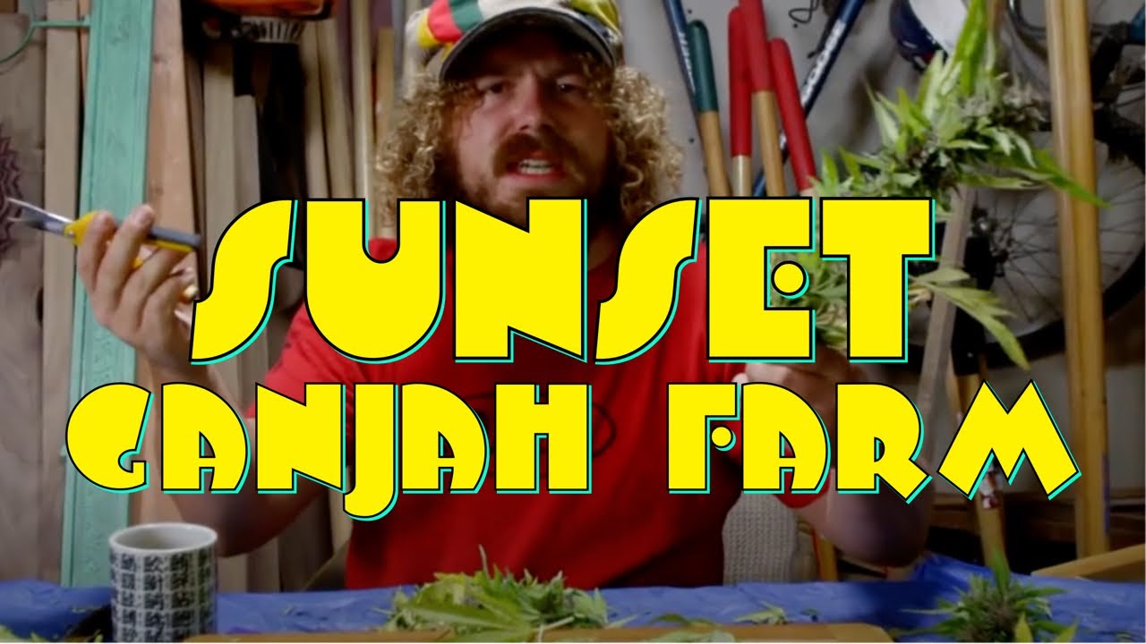 State of Jefferson | Sunset on The Ganja Farm OFFICIAL MUSIC VIDEO