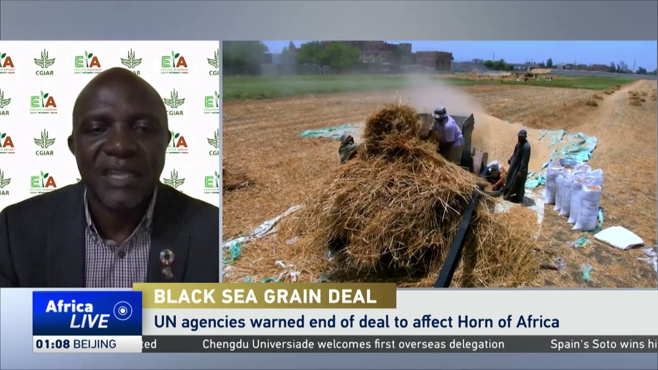 The impact of Russia's decision to halt Black Sea Grain Deal