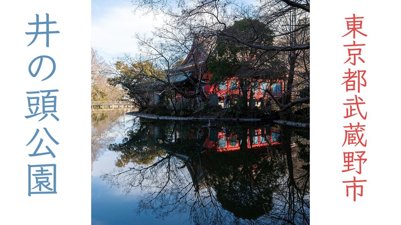 井の頭公園
