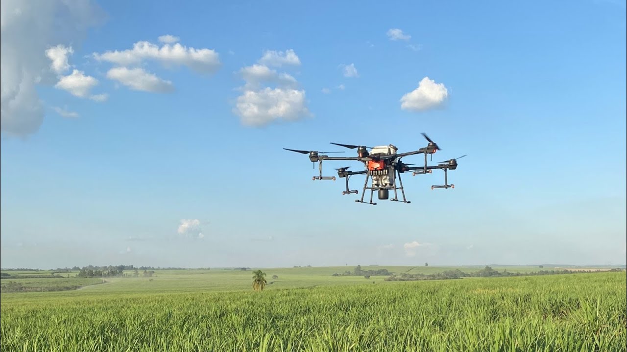 ÚLTIMA PULVERIZAÇÃO DO MILHO COM DRONE!!!