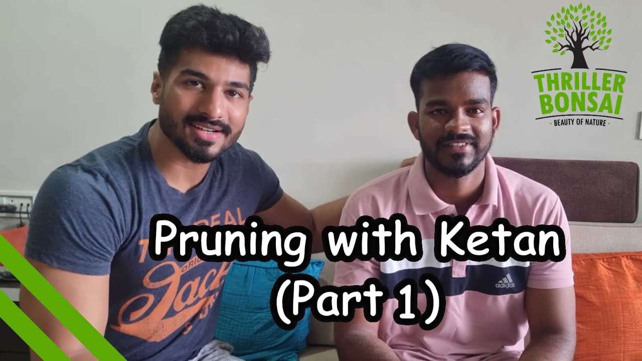 Pruning Bonsai Trees with Ketan (2022) - Part 1