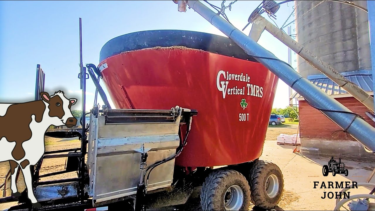 How to Feed 150 Dairy Cows in 20 Minutes!
