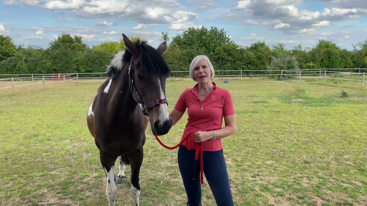 Emma Kitteridge LeMieux All Star Academy audition 2022 @horseandcountryuk