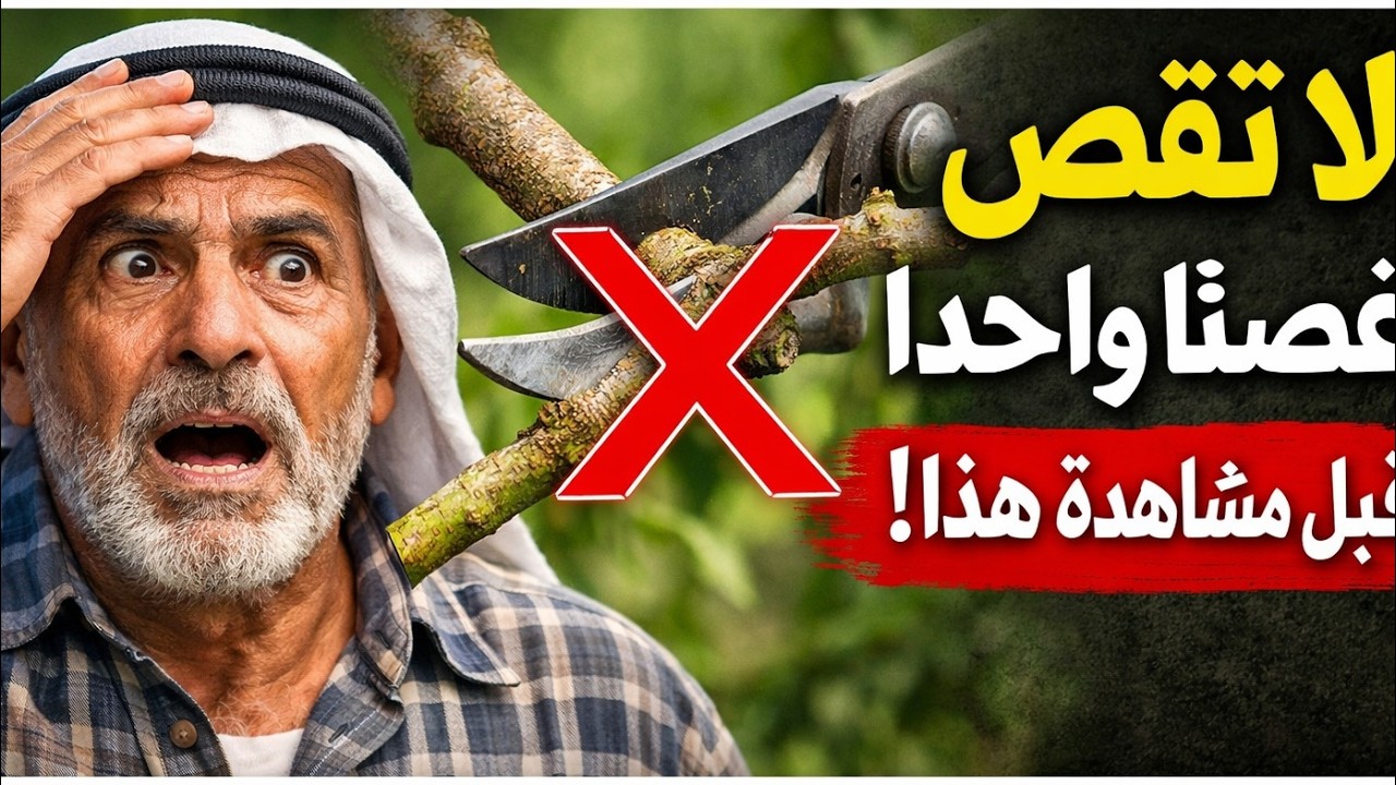 لا تقص غصنًا واحدًا قبل مشاهدة هذا! أسرار تقليم شهر مارس التي ستغير حديقتك تمامًا