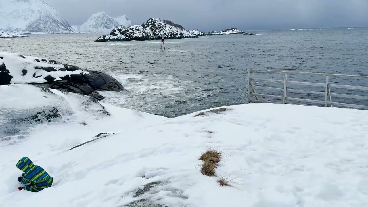 Edge of the Arctic