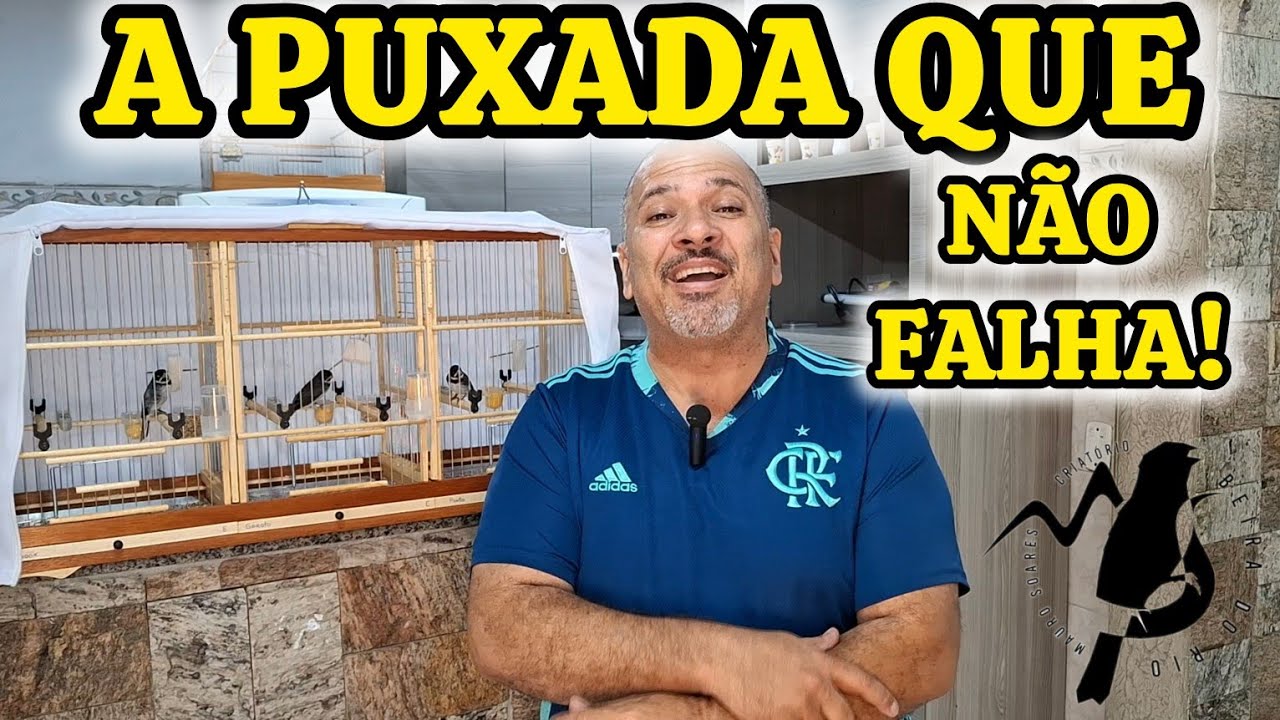 A Puxada que Não Falha.
