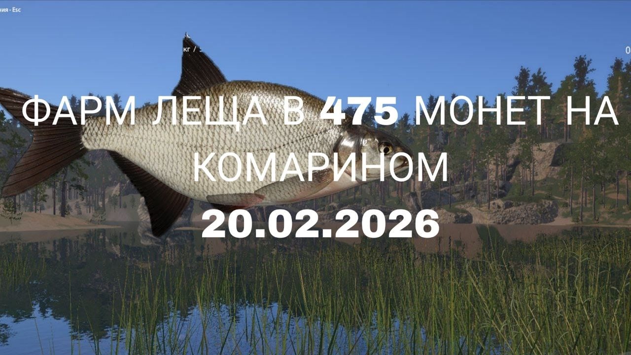 Фарм леща. 20.02.26. Русская рыбалка 4. Комариное