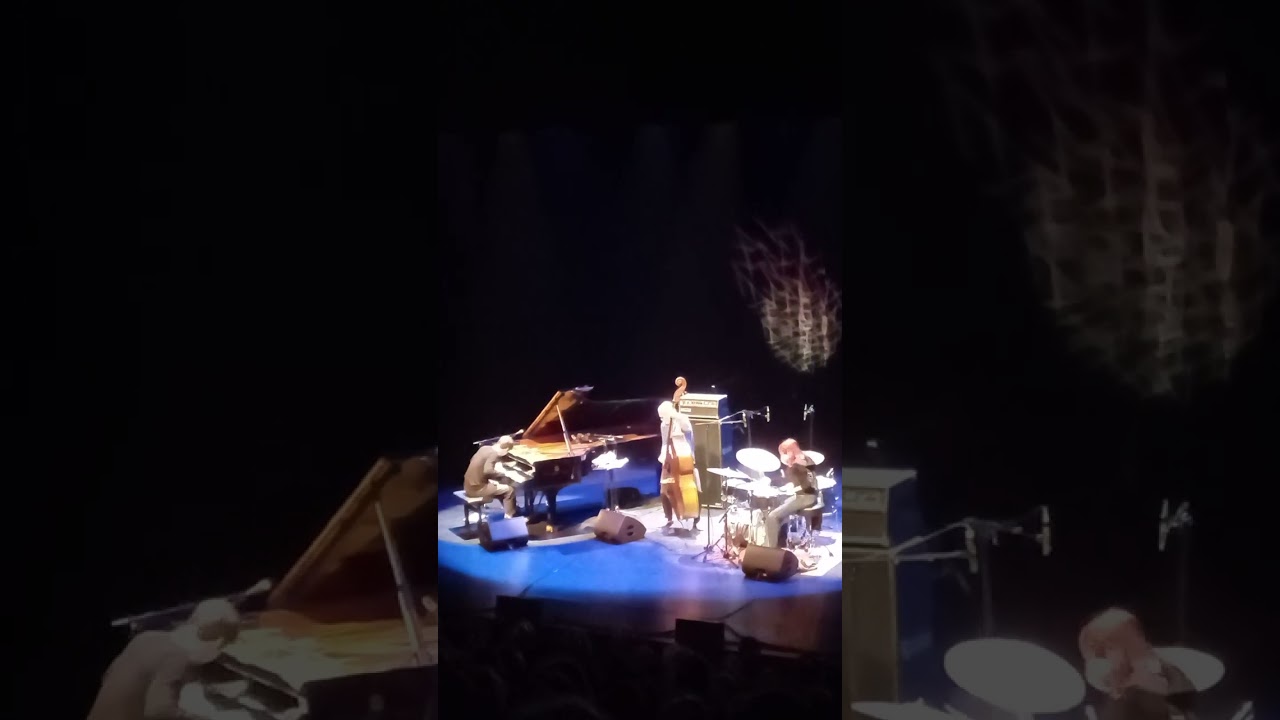 CC Zwaneberg 31/10/2024 :  Avishai Cohen (contrabas), Guy Moskovich (piano) Roni Kaspi (drums). 🙏