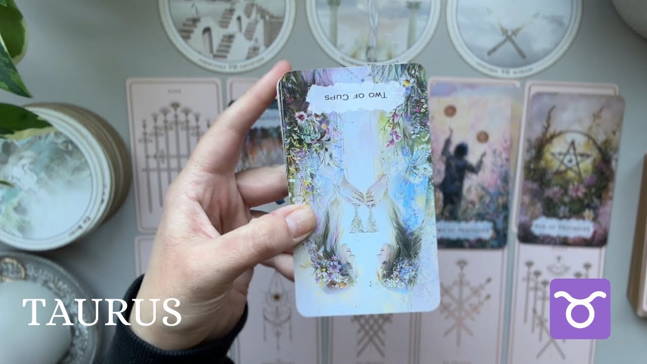 TAURUS LOVE: Someone you are taking a big step back from! It’s all coming together | November ￼￼