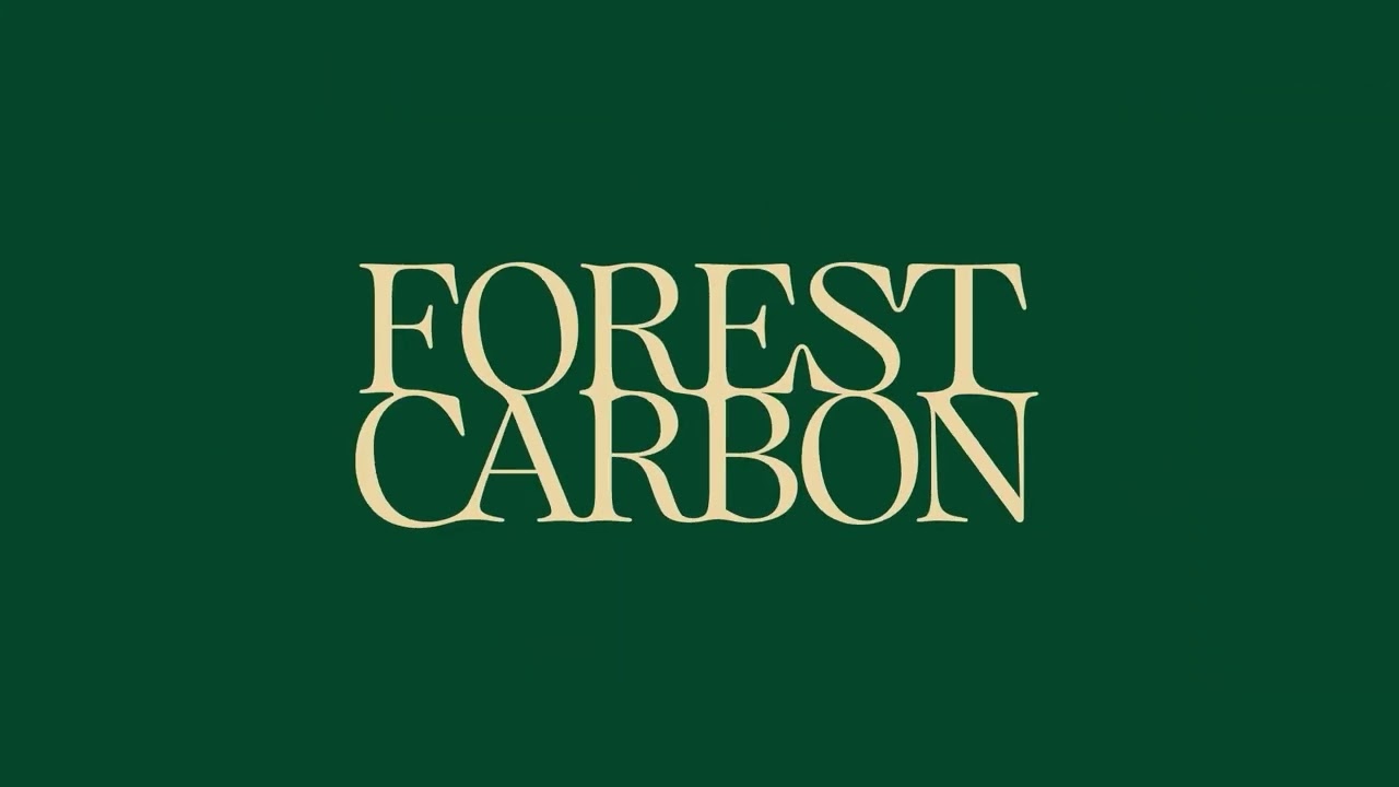 Forest carbon &times; Design Bridge and Partners