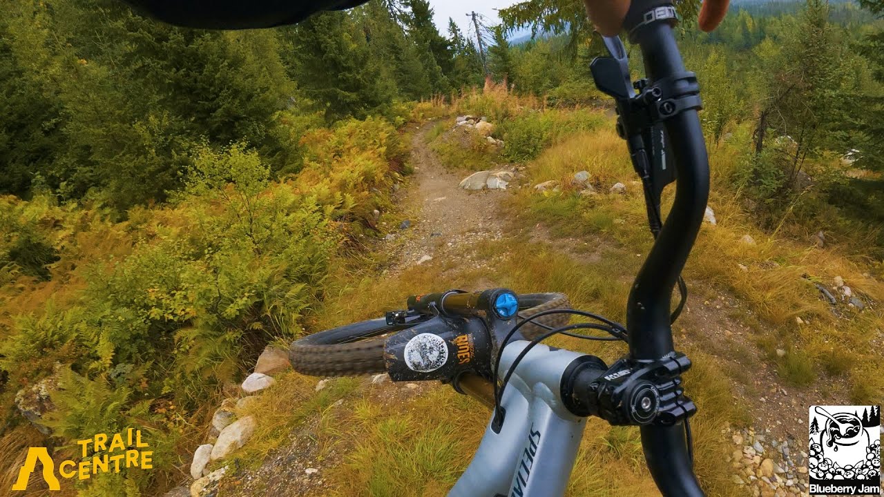 Blueberry Jam Hogevarde // Full Raw run