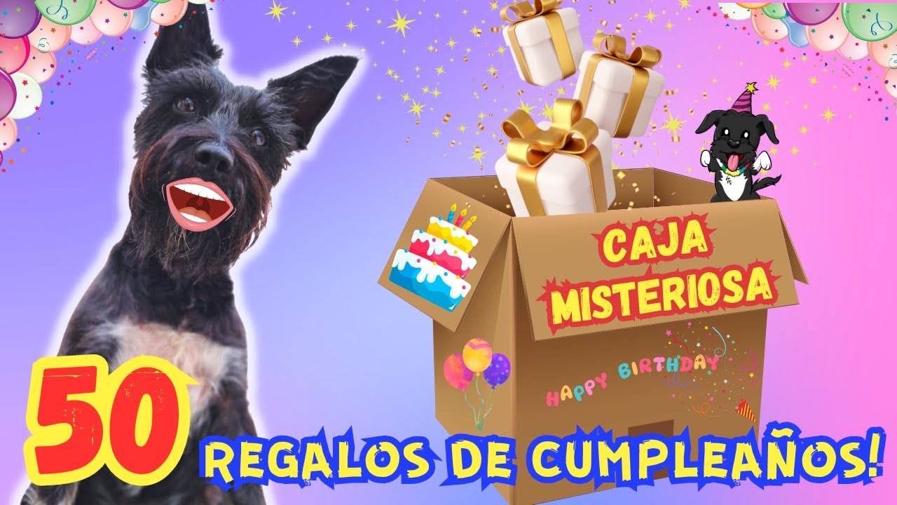 CAJA MISTERIOSA con 50 REGALOS para MI PERRO /Cumplaños Lana