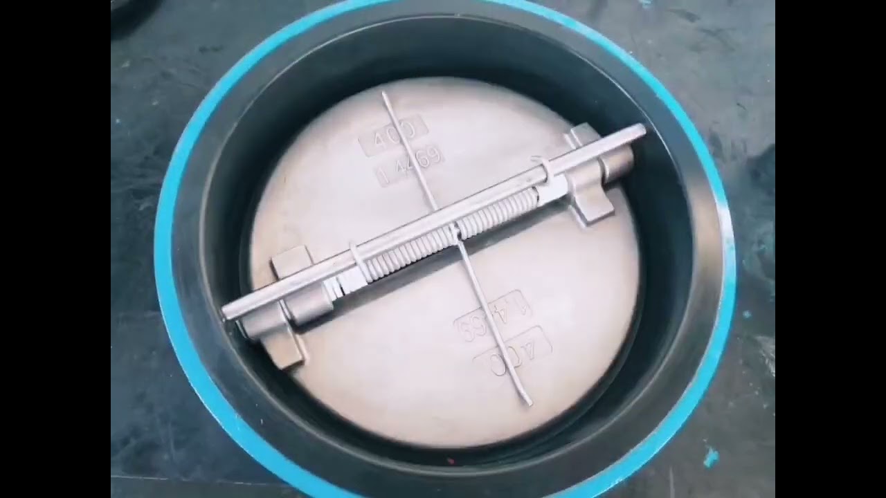 full lined double door check valve