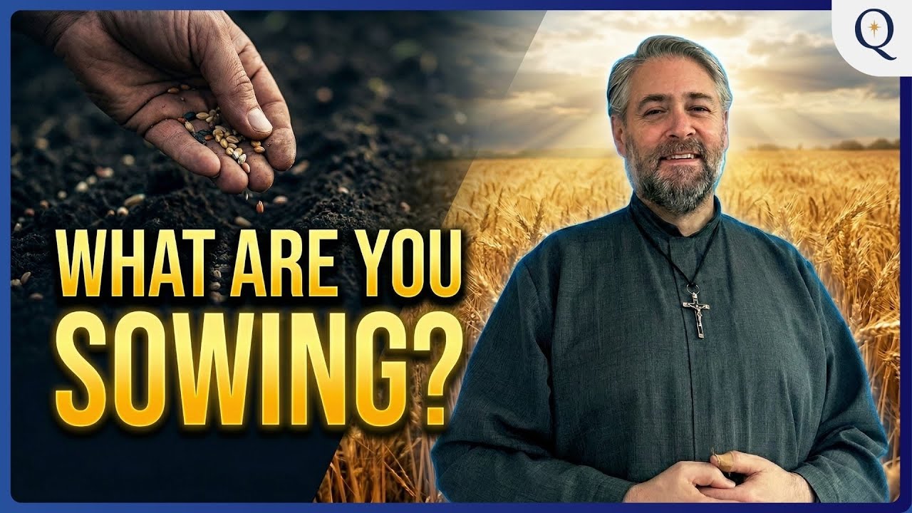The Quest: You Reap What You Sow (Portrait)