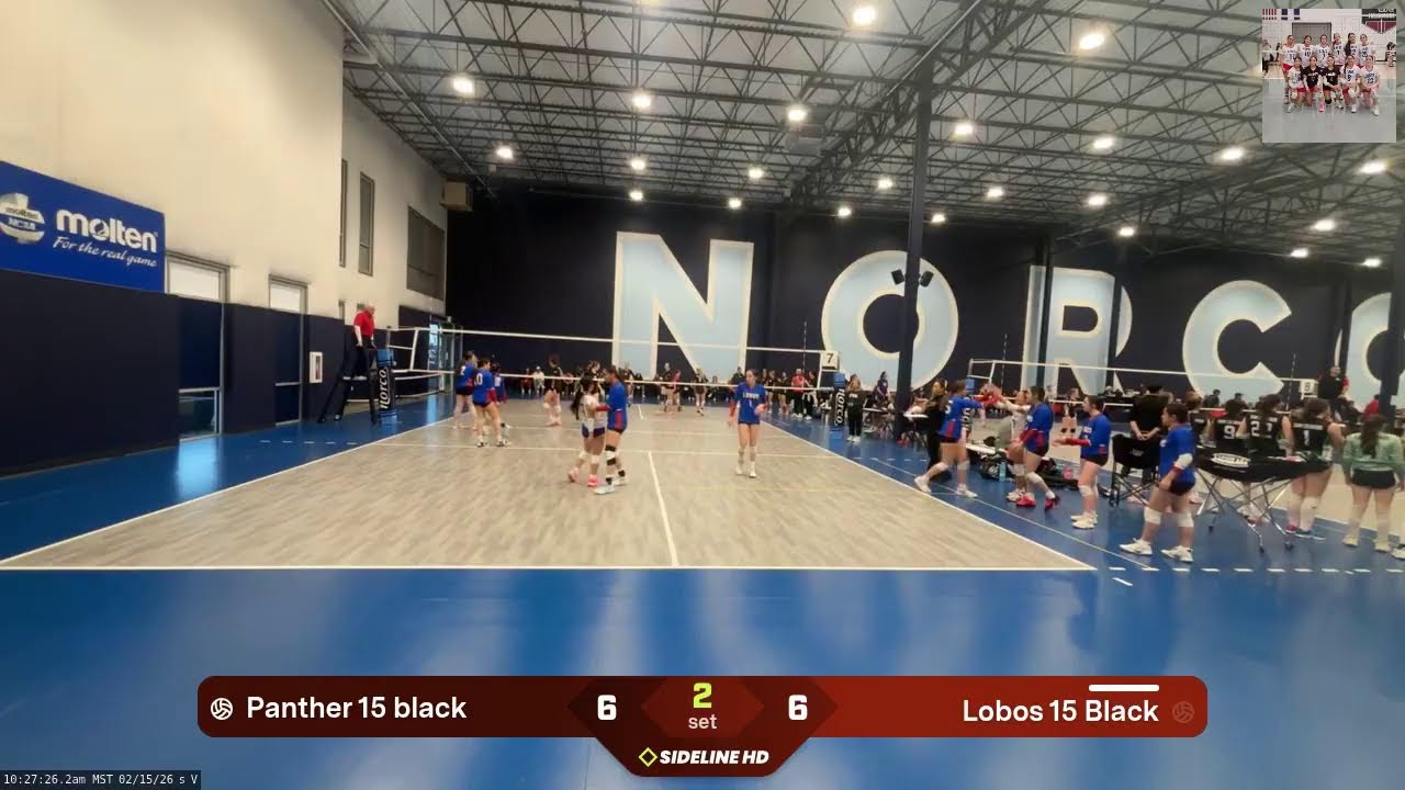 Lobos 15 Black vs. Panther 15 black (2026.02.15)