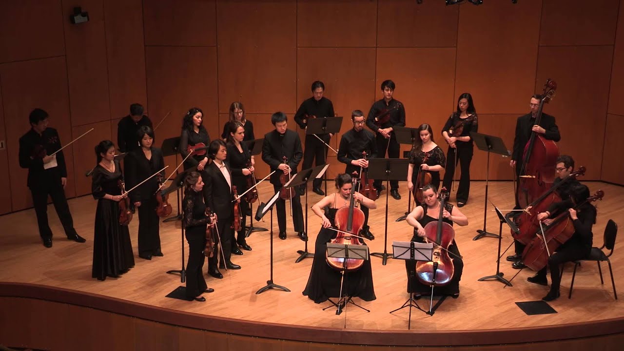 Concerto for Two Cellos in G Minor, by Antonio Vivaldi